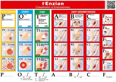 Application of the #Enzian classification for endometriosis on MRI: prospective evaluation of inter- and intraobserver agreement